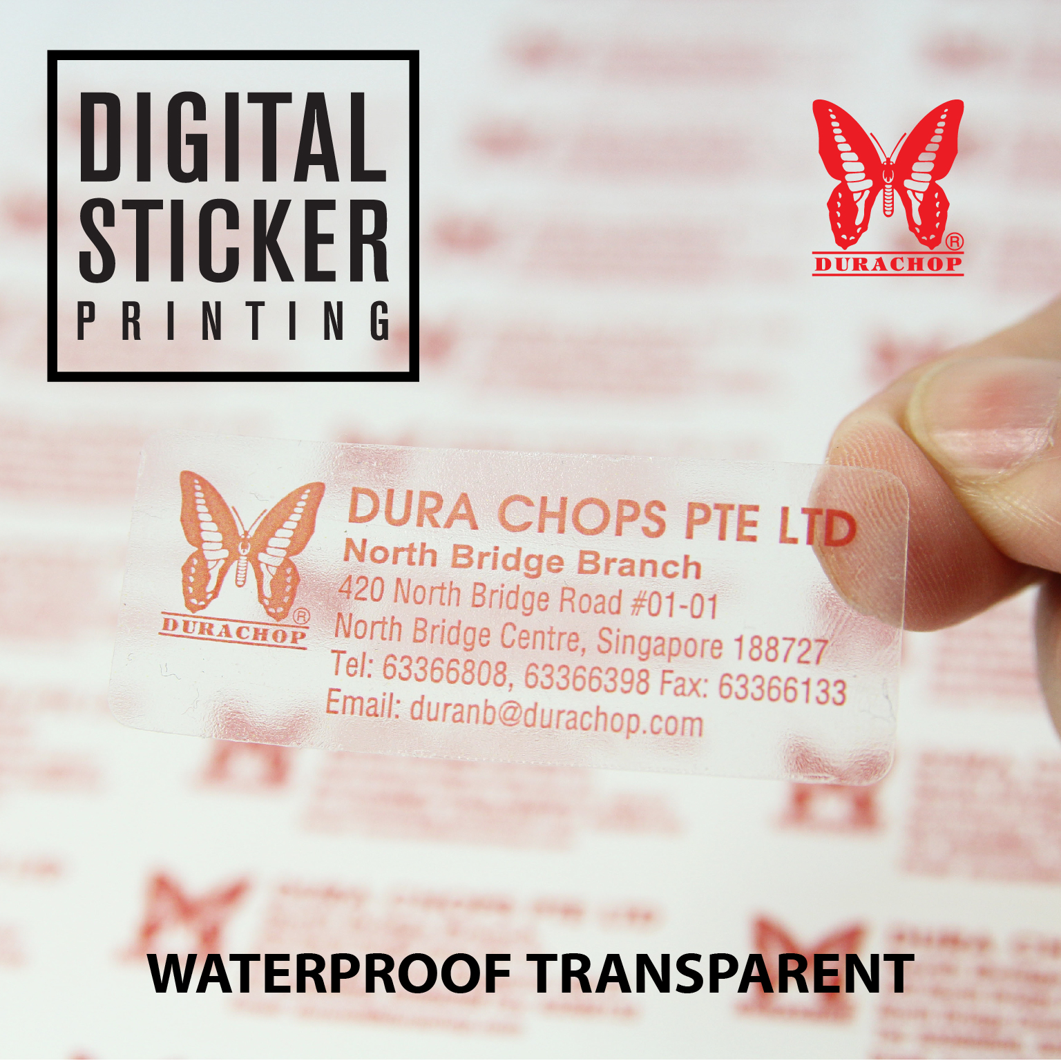 Digital Sticker Printing (Waterproof Transparent / Matt White)